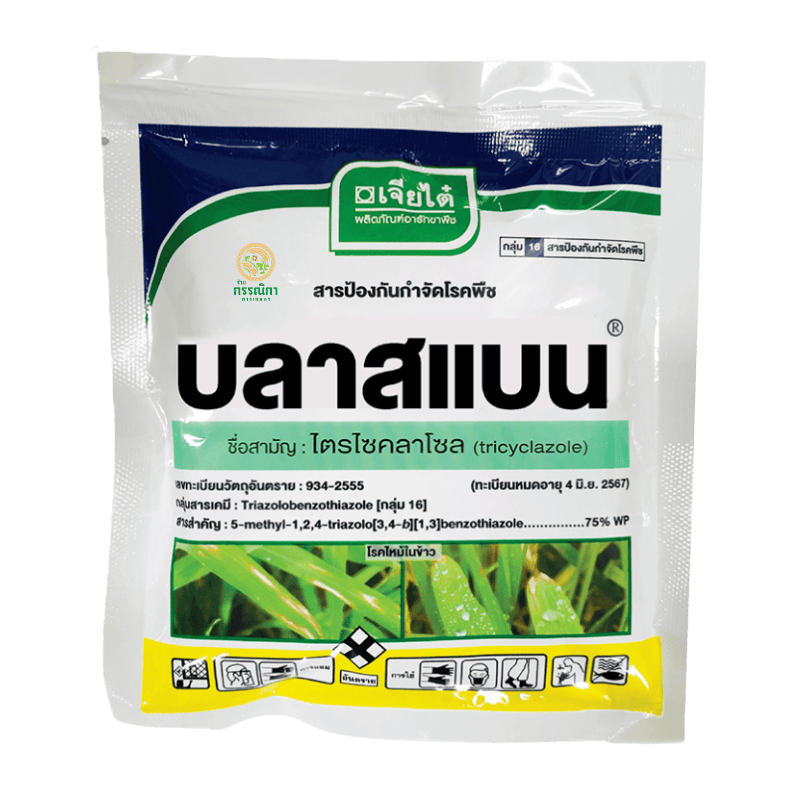 บลาสแบน 100 กรัม (เจียไต๋)