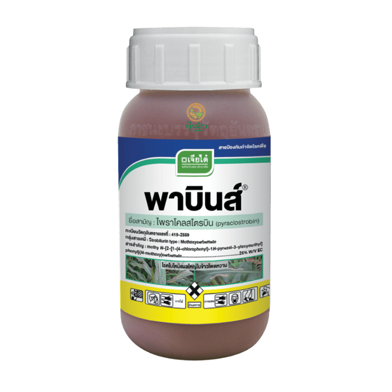 พาบินส์ 500 ซีซี (เจียไต๋)